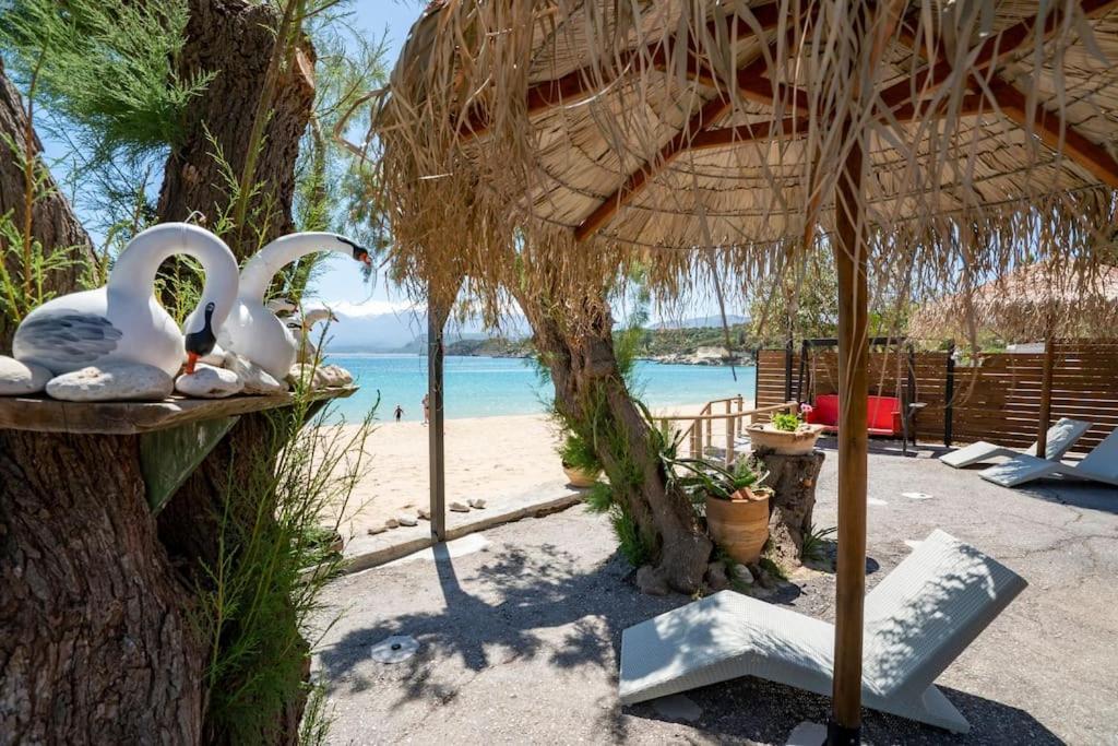 Sea And Sun Metaxy Mas, Brand-New, Beachfront ! Ханья Экстерьер фото