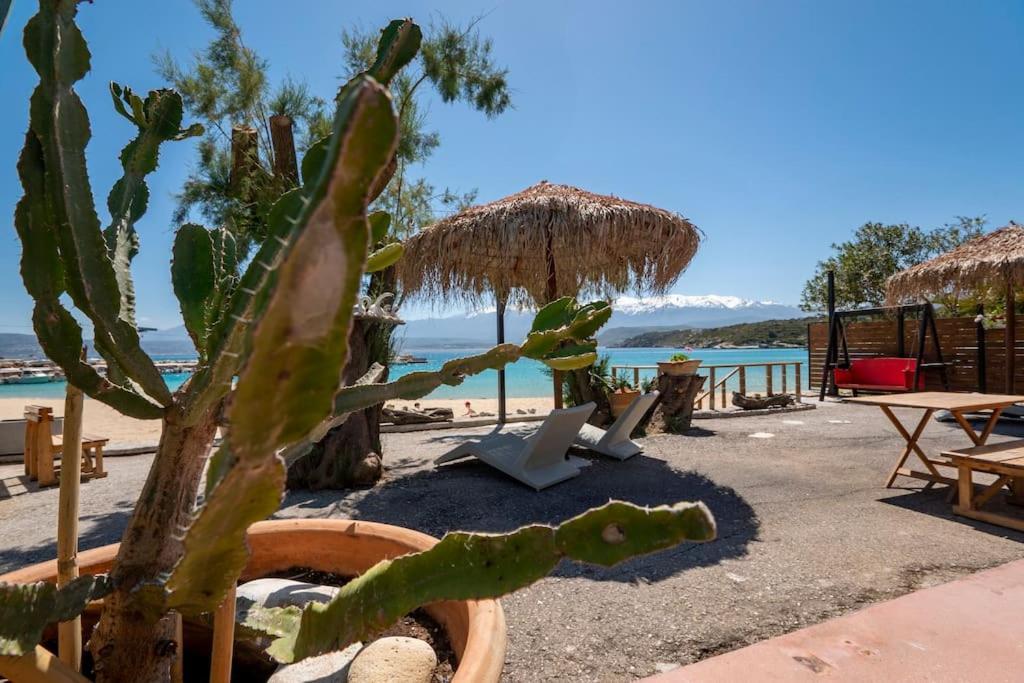 Sea And Sun Metaxy Mas, Brand-New, Beachfront ! Ханья Экстерьер фото